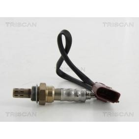 Lambdasonde von TRISCAN