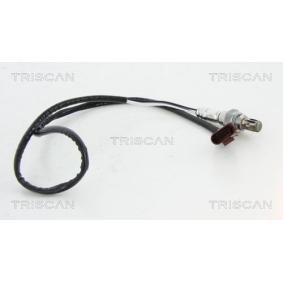 Lambdasonde von TRISCAN