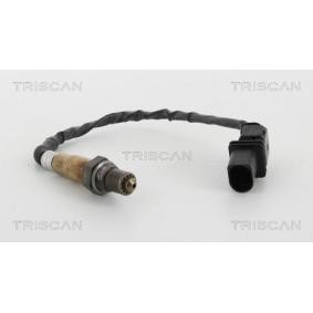 Lambdasonde von TRISCAN