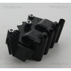 Zündspule für IVECO von TRISCAN