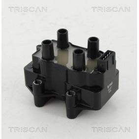 Acquista Bobina d'accensione da TRISCAN 8860 28017 a buon mercato per soli 71,27 €