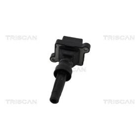 Acquista Bobina d'accensione da TRISCAN 8860 28019 a buon mercato per soli 65,07 €