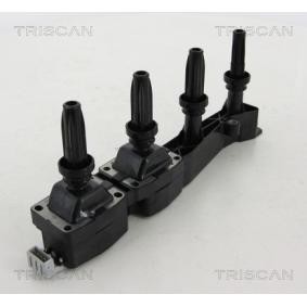 Acquista Bobina d'accensione da TRISCAN 8860 28020 a buon mercato per soli 139,44 €