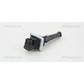 Acquista Bobina d'accensione da TRISCAN 8860 28021 a buon mercato per soli 50,75 €