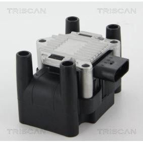 Zündspule von TRISCAN