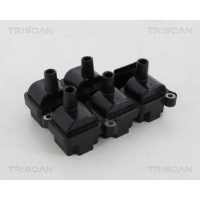 Zündspule von TRISCAN