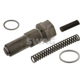 Steuerkettenspanner 10 10 2100