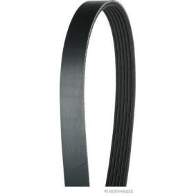 Keilrippenriemen J1062070