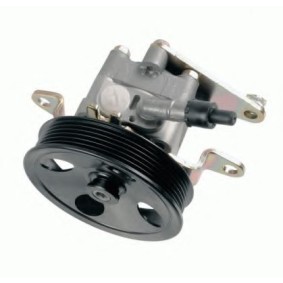 Servopumpe 7613.955.133 für NISSAN