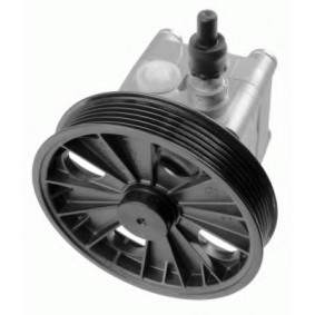 Servopumpe 7617.955.116 für XC90 I (275) für 224,17 CHF