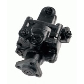 Acquista Pompa idraulica, sterzo da ZF LENKSYSTEME 8691.955.166 a buon mercato per soli 500,38 €