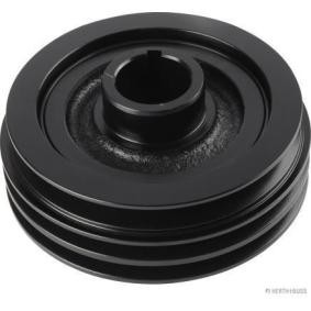 Acquista Puleggia cinghia albero a gomiti da HERTH+BUSS JAKOPARTS J1094009 a buon mercato per soli 245,16 €