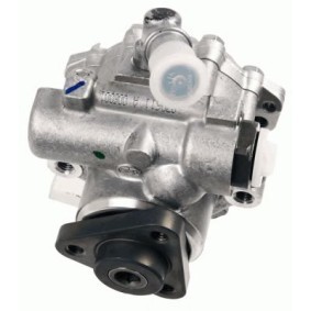 Servopumpe 7691.955.321 für Omega B Caravan (V94) für 392,00 CHF