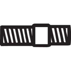 Schraube, Abgasanlage 258-023