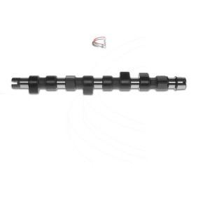 Nockenwelle für FIAT von CAMPRO