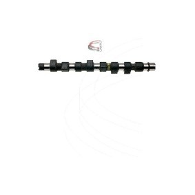 Nockenwelle für FIAT von CAMPRO