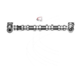 Nockenwelle CP12250 von CAMPRO günstig für 329,97 € online kaufen