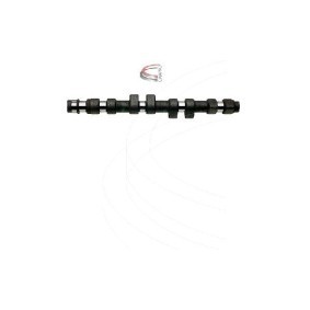 Nockenwelle für FIAT von CAMPRO
