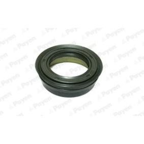 Wellendichtring, Differential NJ689
