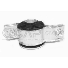 FIAT Lagerung, Lenker von OCAP