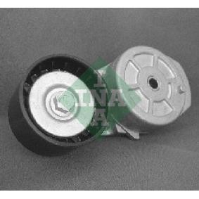 Compre Rolo tensor, correia trapezoidal estriada da INA 531 0481 10 a um preço baixo por 108,91 €