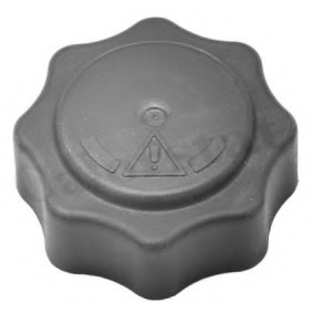 Köp Lock till expansionskärl av CALORSTAT by Vernet RC0078 till det låga priset 79,79 kr