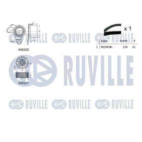 Wasserpumpe von RUVILLE