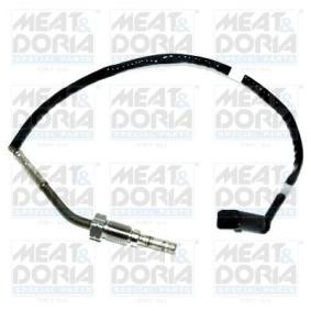 Abgastemperatursensor 12013