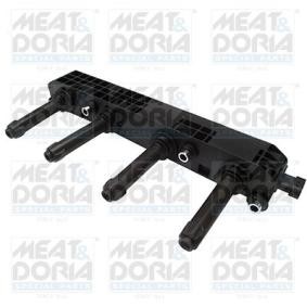Zündspule für DAEWOO von MEAT & DORIA