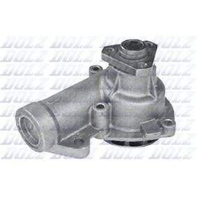 Acquista Pompa acqua da DOLZ S154 a buon mercato per soli 31,28 €