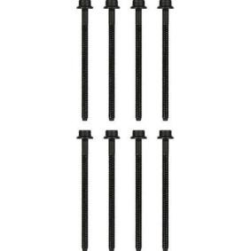 Zylinderkopfschraubensatz T40706-01