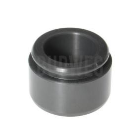 Kolben, Bremssattel 234423 für TESLA