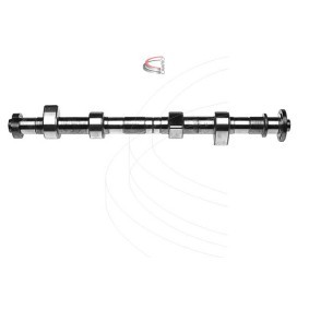 Compre Árvore de cames de CAMPRO online para RANGER (ER, EQ) a preços moderados
