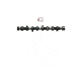 Nockenwelle CP12204 von CAMPRO günstig für 243,89 € online kaufen