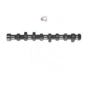 Nockenwelle CP12210 von CAMPRO günstig für 194,95 € online kaufen