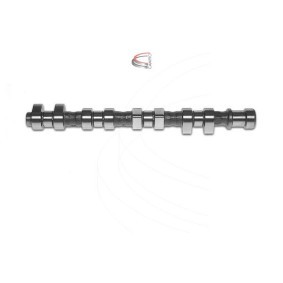 Nockenwelle CP12231 von CAMPRO günstig für 269,25 € online kaufen