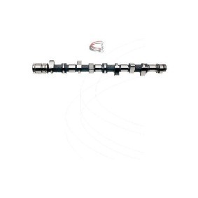Nockenwelle für CITROËN von CAMPRO