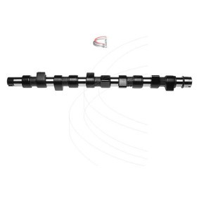 Nockenwelle für FIAT von CAMPRO