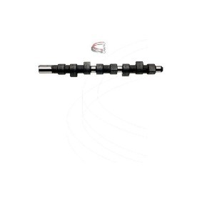 Nockenwelle für FIAT von CAMPRO