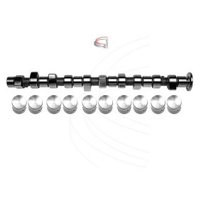 Nockenwellensatz CP61920