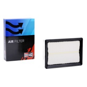 Luftfilter CAF100564P
