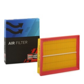Luftfilter CAF100689P