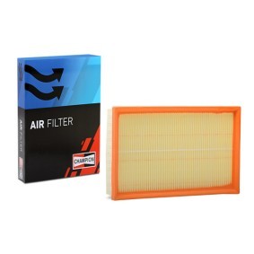 Luftfilter CAF100734P