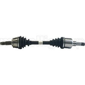 Bremsscheibe 800-510 von CIFAM günstig für 27,83 € online kaufen