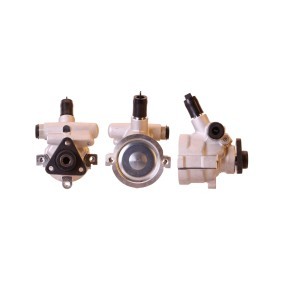 Acquista Pompa idraulica, sterzo da DRI 715520205 a buon mercato per soli 116,15 €