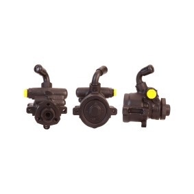 Achetez des Pompe de direction assistée DRI 715520291 à prix pour 150,76 €