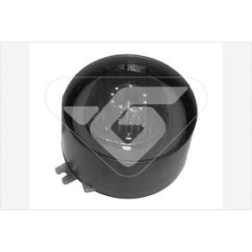 Compre Rolo tensor, correia dentada da HUTCHINSON HTG 133 a um preço baixo por 50,18 €