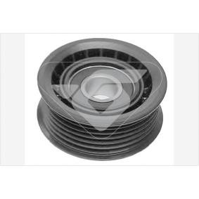 Comprar Polea inversión / guía, correa poli V de HUTCHINSON T0045 a bajo precio de 23,39 €