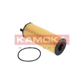 Ölfilter F110001 für PORSCHE