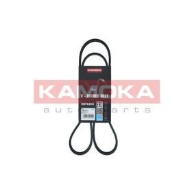 Comprar Juego de zapatas de frenos de KAMOKA JQ202026 a bajo precio de 27,02 €
